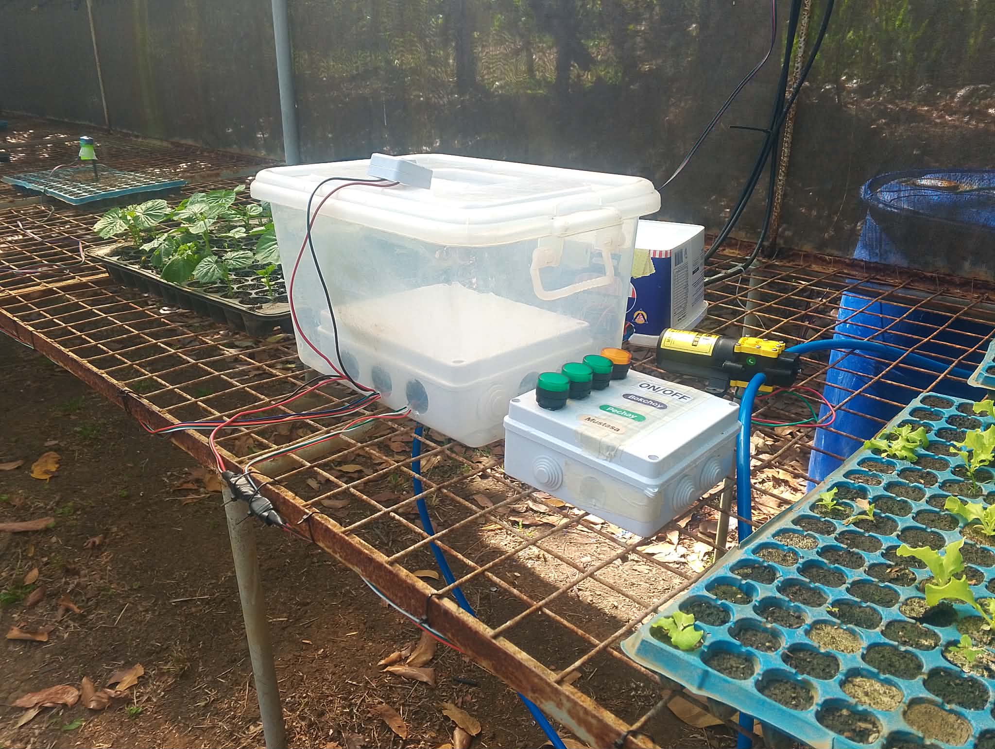 SproutSync